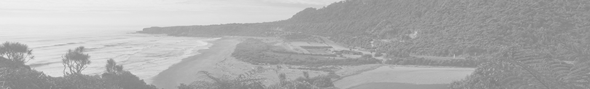 gallery/wp-content-uploads-2013-08-blackwhite_strip